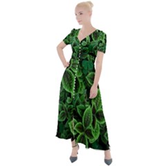 Shanghai Botanical Garden Button Up Short Sleeve Maxi Dress by Cowasu