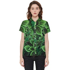 Shanghai Botanical Garden Short Sleeve Pocket Shirt by Cowasu