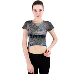 Peacock Feathers Peacock Bird Feathers Crew Neck Crop Top by Ndabl3x