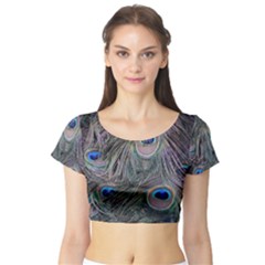 Peacock Feathers Peacock Bird Feathers Short Sleeve Crop Top by Ndabl3x