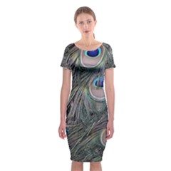 Peacock Feathers Peacock Bird Feathers Classic Short Sleeve Midi Dress by Ndabl3x