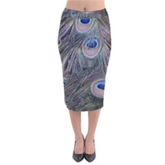 Peacock Feathers Peacock Bird Feathers Velvet Midi Pencil Skirt by Ndabl3x