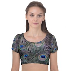 Peacock Feathers Peacock Bird Feathers Velvet Short Sleeve Crop Top  by Ndabl3x