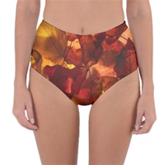 Leaves Fall Autumn Season Orange Reversible High-waist Bikini Bottoms by Ndabl3x