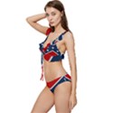 Rebel flag  Low Cut Ruffle Edge Bikini Set View2