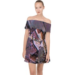 Prismatic Pride Off Shoulder Chiffon Dress by MRNStudios