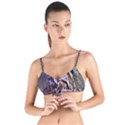 Prismatic Pride Tie Up Cut Bikini Top View1