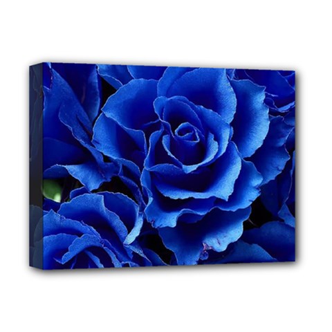 Blue Roses Flowers Plant Romance Blossom Bloom Nature Flora Petals Deluxe Canvas 16  X 12  (stretched)  by Cowasu