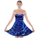 Blue Roses Flowers Plant Romance Blossom Bloom Nature Flora Petals Strapless Bra Top Dress View1