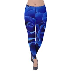 Blue Roses Flowers Plant Romance Blossom Bloom Nature Flora Petals Velvet Leggings by Cowasu