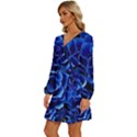 Blue Roses Flowers Plant Romance Blossom Bloom Nature Flora Petals Long Sleeve Waist Tie Ruffle Velvet Dress View2