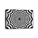 Spider Web Hypnotic Mini Canvas 6  x 4  (Stretched) View1