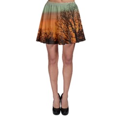 Twilight Sunset Sky Evening Clouds Skater Skirt by Amaryn4rt