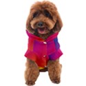 Rainbow Colors Dog Coat View1