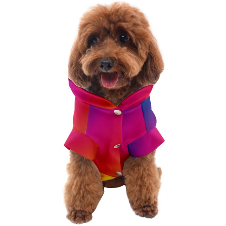 Rainbow Colors Dog Coat