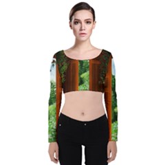 Beautiful World Entry Door Fantasy Velvet Long Sleeve Crop Top by Amaryn4rt