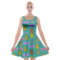 Meow Cat Pattern Velvet Skater Dress by Amaryn4rt