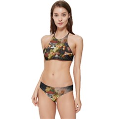 Abundance Of Fruit Severin Roesen Banded Triangle Bikini Set