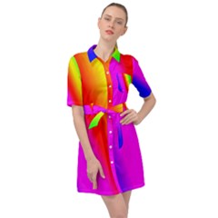 Multi Color Rainbow Background Belted Shirt Dress by Amaryn4rt