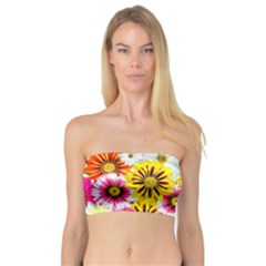 Flowers Blossom Bloom Nature Plant Bandeau Top by Amaryn4rt