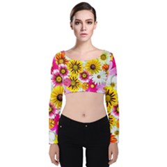 Flowers Blossom Bloom Nature Plant Velvet Long Sleeve Crop Top by Amaryn4rt