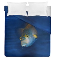 Fish Blue Animal Water Nature Duvet Cover Double Side (queen Size) by Amaryn4rt