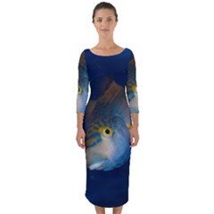 Fish Blue Animal Water Nature Quarter Sleeve Midi Bodycon Dress by Amaryn4rt