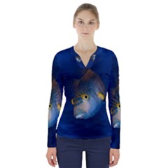 Fish Blue Animal Water Nature V-neck Long Sleeve Top by Amaryn4rt