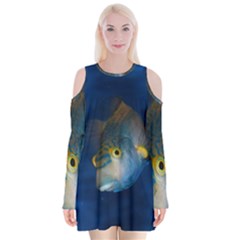 Fish Blue Animal Water Nature Velvet Long Sleeve Shoulder Cutout Dress by Amaryn4rt