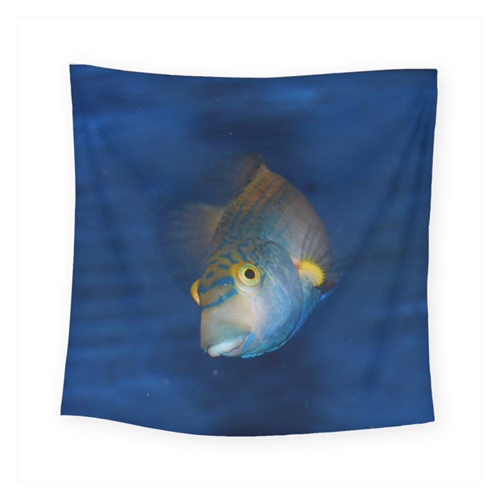 Fish Blue Animal Water Nature Square Tapestry (Small)