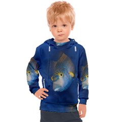 Fish Blue Animal Water Nature Kids  Hooded Pullover by Amaryn4rt