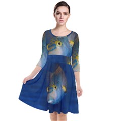 Fish Blue Animal Water Nature Quarter Sleeve Waist Band Dress by Amaryn4rt