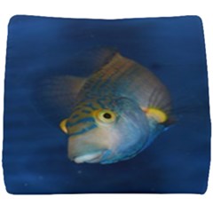 Fish Blue Animal Water Nature Seat Cushion by Amaryn4rt