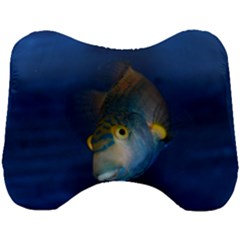 Fish Blue Animal Water Nature Head Support Cushion by Amaryn4rt