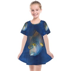 Fish Blue Animal Water Nature Kids  Smock Dress