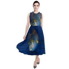 Fish Blue Animal Water Nature Round Neck Boho Dress by Amaryn4rt