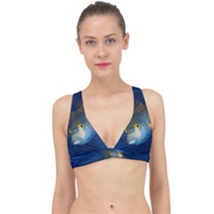 Fish Blue Animal Water Nature Classic Banded Bikini Top by Amaryn4rt