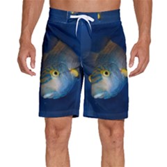 Fish Blue Animal Water Nature Men s Beach Shorts by Amaryn4rt