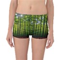 Green Forest Jungle Trees Nature Sunny Boyleg Bikini Bottoms View1