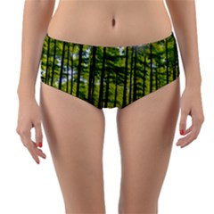 Green Forest Jungle Trees Nature Sunny Reversible Mid-waist Bikini Bottoms