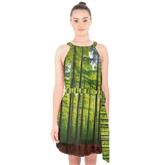 Green Forest Jungle Trees Nature Sunny Halter Collar Waist Tie Chiffon Dress by Ravend