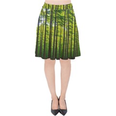 Green Forest Jungle Trees Nature Sunny Velvet High Waist Skirt by Ravend