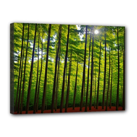 Green Forest Jungle Trees Nature Sunny Canvas 16  X 12  (stretched) by Ravend