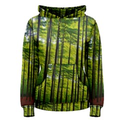 Green Forest Jungle Trees Nature Sunny Women s Pullover Hoodie by Ravend