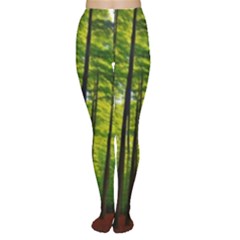 Green Forest Jungle Trees Nature Sunny Tights by Ravend