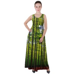 Green Forest Jungle Trees Nature Sunny Empire Waist Velour Maxi Dress by Ravend