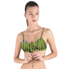 Green Forest Jungle Trees Nature Sunny Tie Up Cut Bikini Top by Ravend