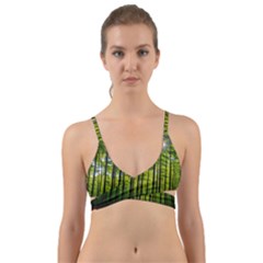 Green Forest Jungle Trees Nature Sunny Wrap Around Bikini Top by Ravend