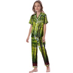 Green Forest Jungle Trees Nature Sunny Kids  Satin Short Sleeve Pajamas Set by Ravend