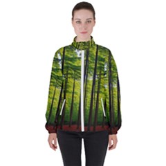 Green Forest Jungle Trees Nature Sunny Women s High Neck Windbreaker by Ravend